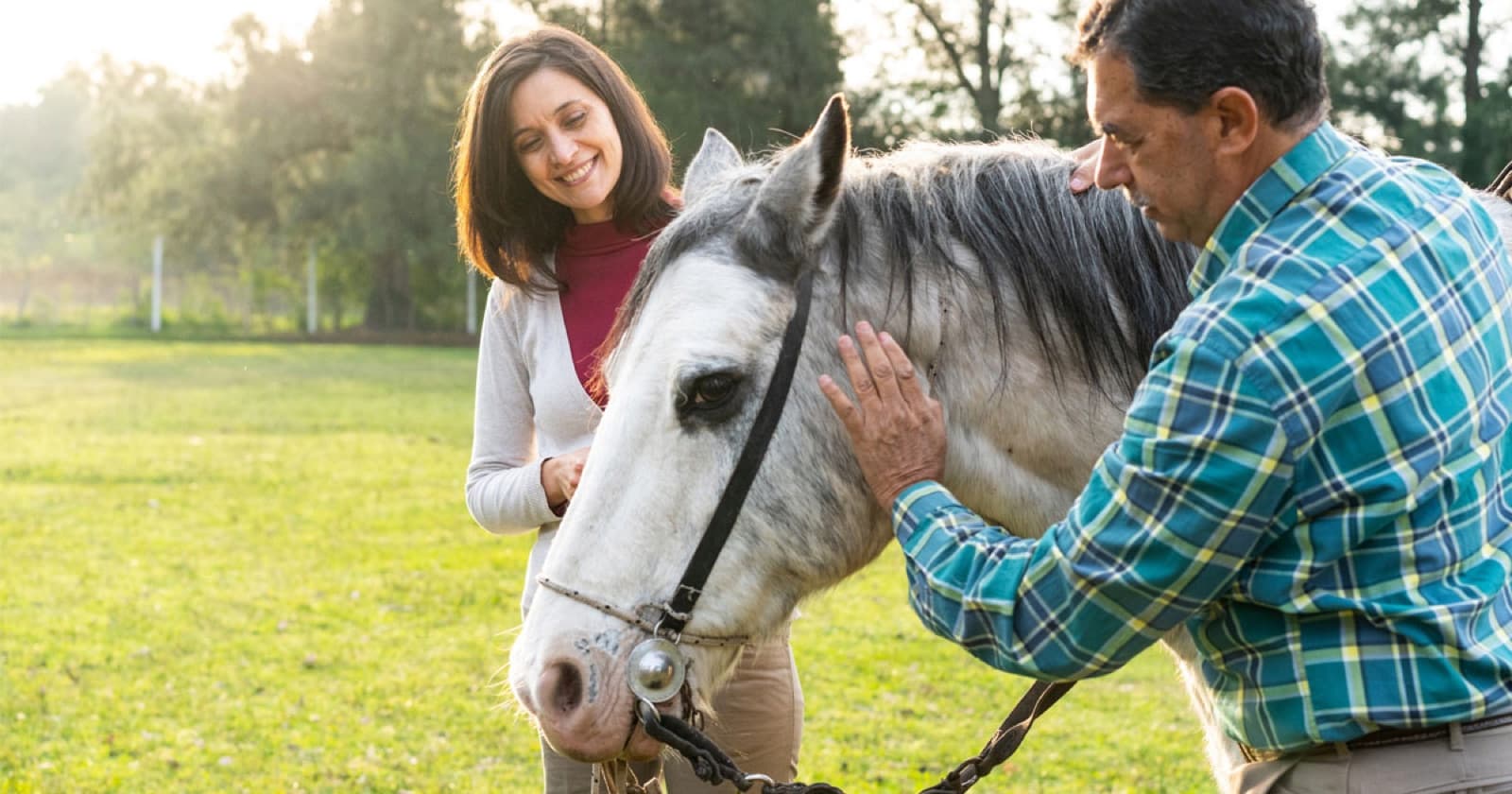 Equine assisted psychology session with a therapy horse